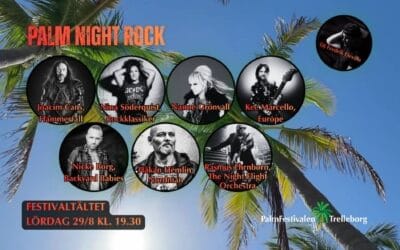 Palm Night Rock!